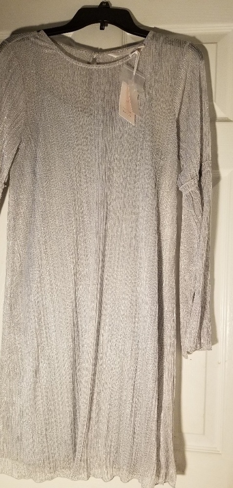 Gray/silver swing dress